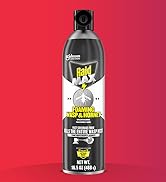 Raid Max Foaming Wasp &amp;amp; Hornet Killer Pack Shot