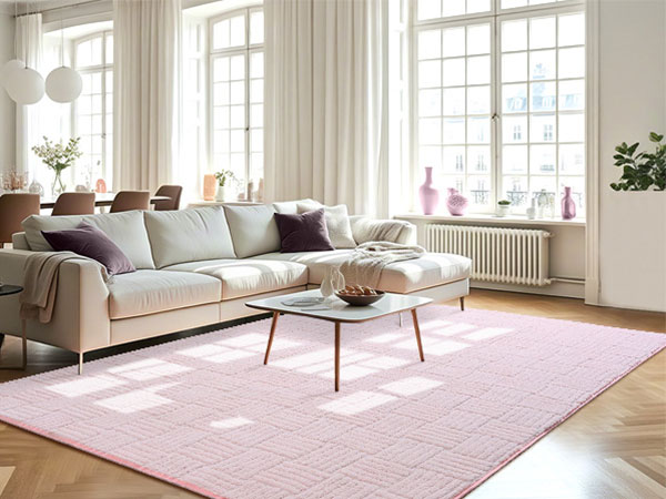 Living Room Rug
