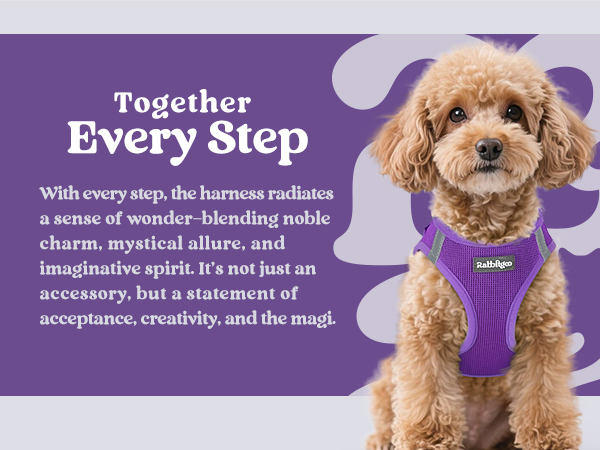 purple harness for small dogs