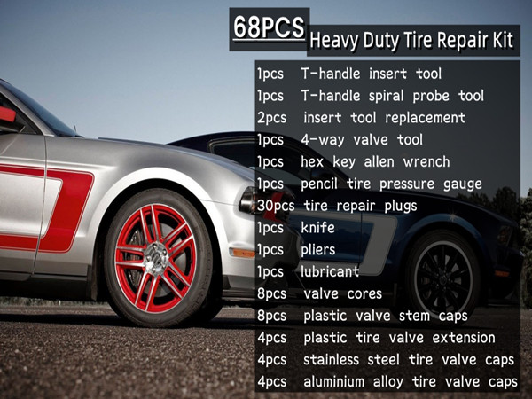 Tire Repair Kit