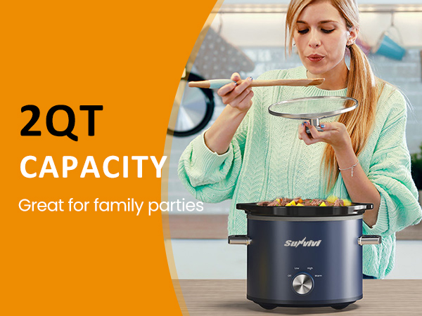 slow cooker/food warmers for parties/food warmer/2 qt buffet servers and warmers/small slow cooker