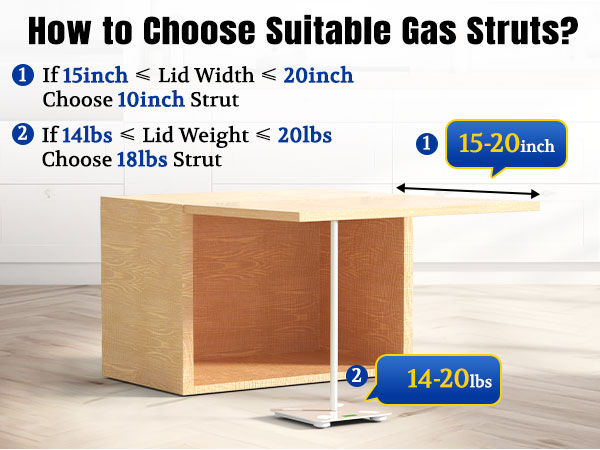 ARANA GAS STRUTS