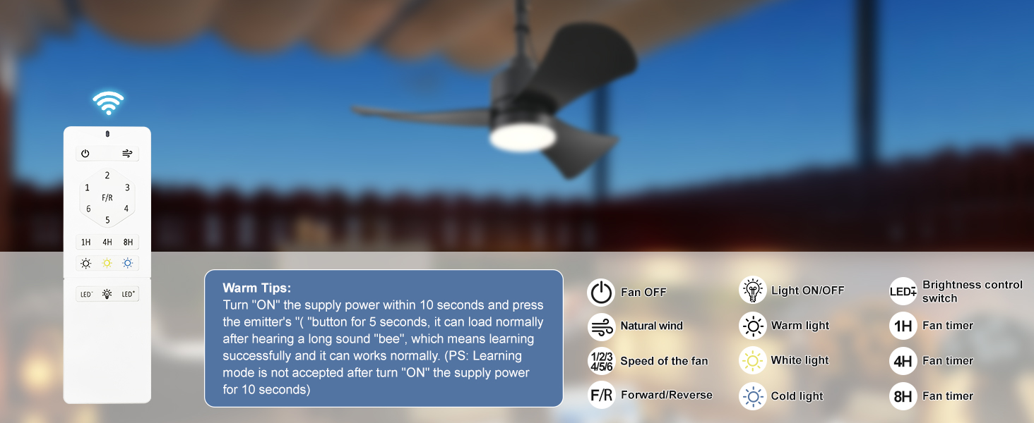 outdoor ceiling fans