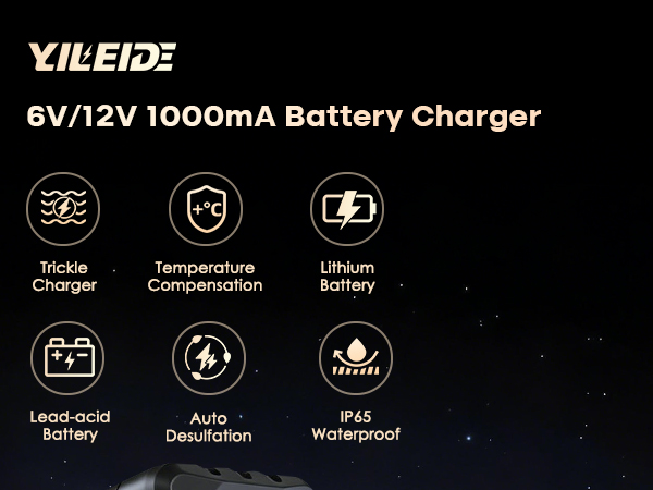 12v battery charger lifepo4 battery charger cargador de bateria de carro portatil