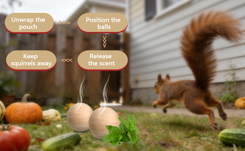 Squirrel Repellent
