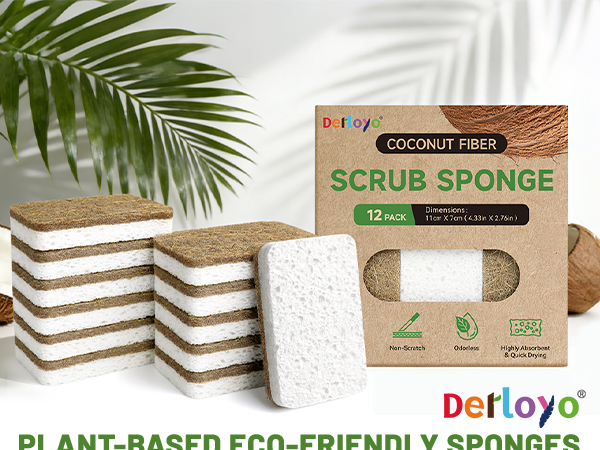 Kitchen Sponge