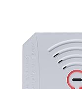 2 Pack Carbon Monoxide Detectors,Portable CO Detector,Travel Carbon Monoxide Alarm,CO Monitor wit...