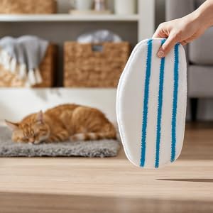 Sequence showing a white cleaning pad with blue stripes being used on floor surface, with an orange cat visible in background.