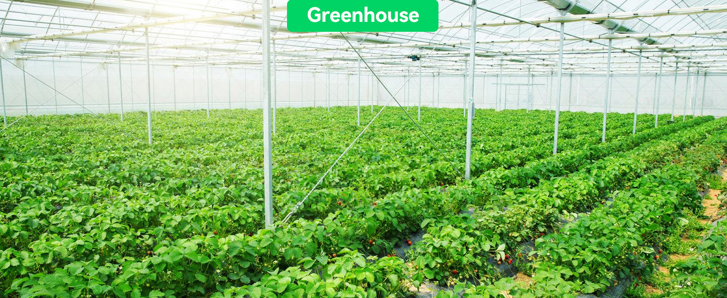 greenhouse plant nursery garden