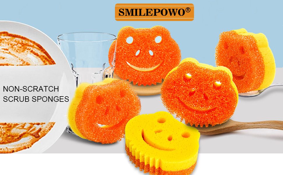 Sponges