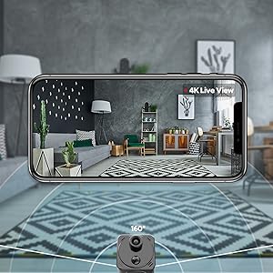 surveillance with voice recording tiny bird feeder outside small 4k cams cell phone app sound