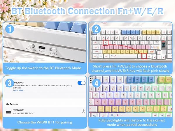 BT BLUETOOTH CONNECTION