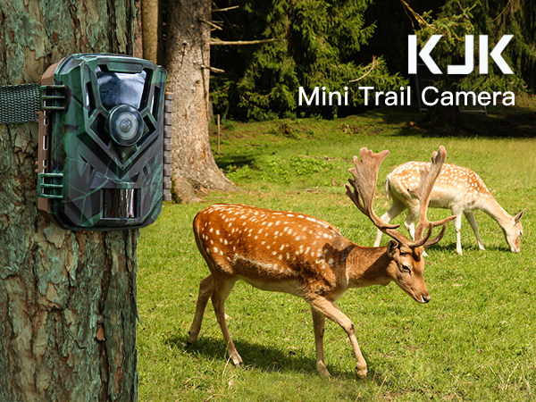 trail camera