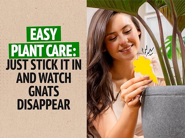 eco-friendly bug control for houseplants