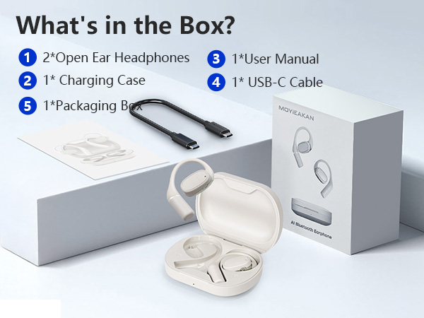 translation earbuds,ranslation earbuds real time,language translator earbuds
