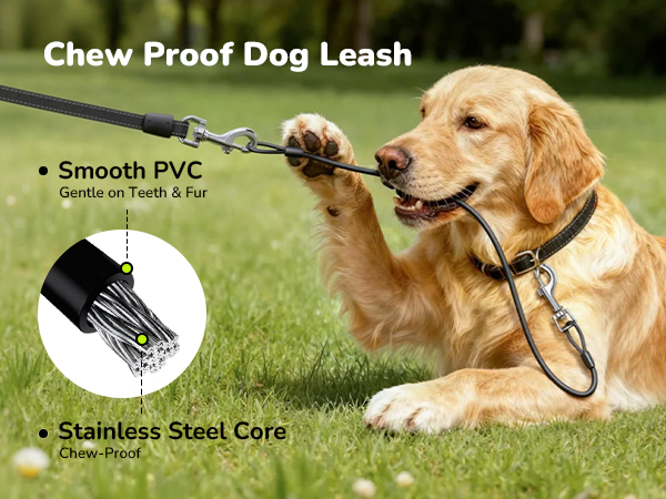 dog leash
