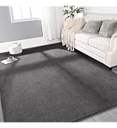 Gifeas Large Ultra Soft Modern Area Rugs for Living Room Bedroom, 4x6 Feet Dark Grey Thickened Me...