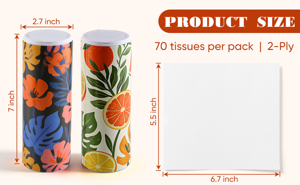 Car Tissue Holder