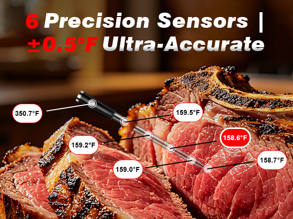 thermometer for cooking