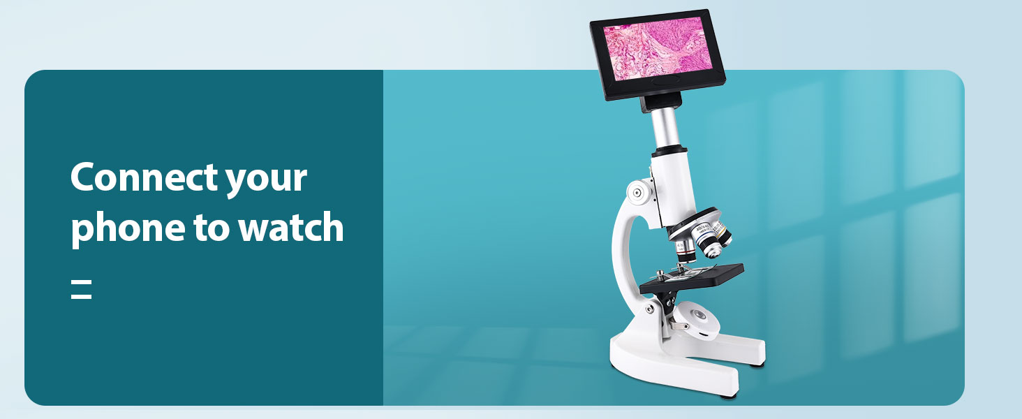 MicroscopeMicroscope