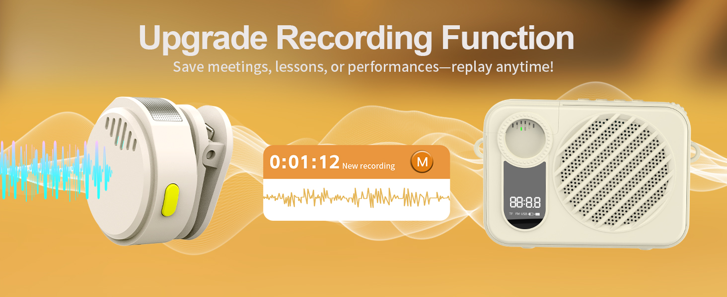 portable voice amplifier