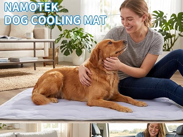 dog cooling mat