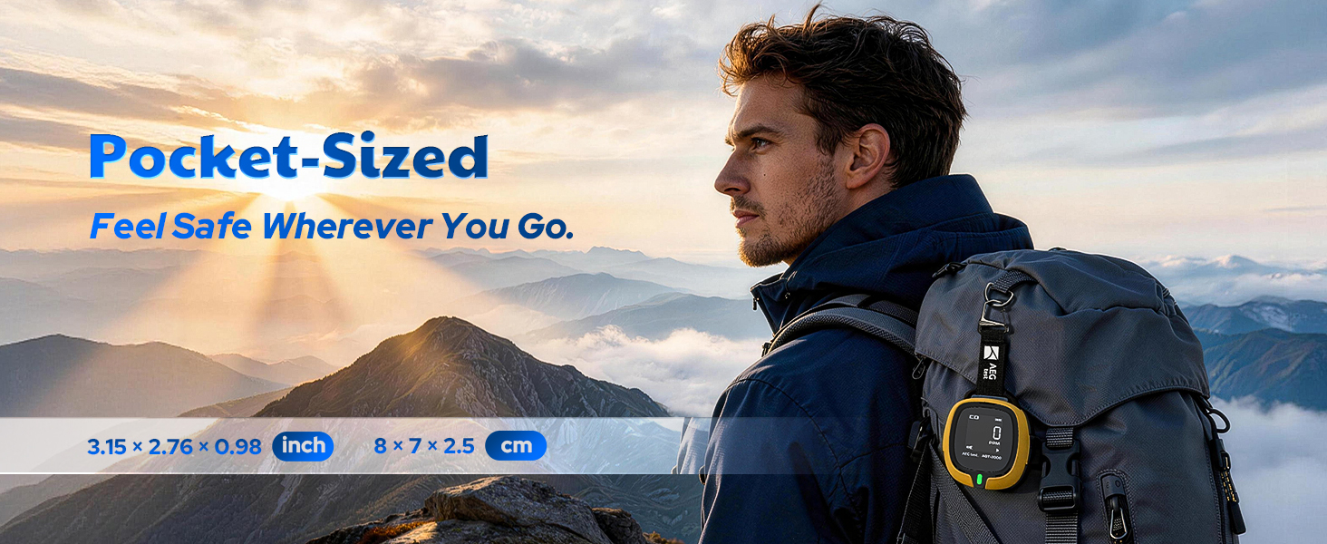 carbon monoxide detectors portable