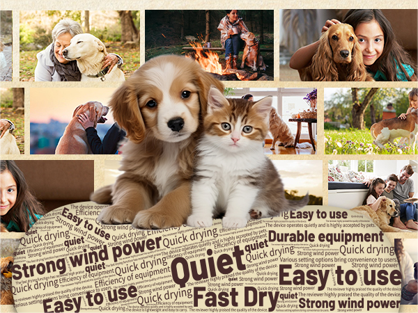 Blanlody Dog Dryer Pet Hair Blower High Velocity for Grooming