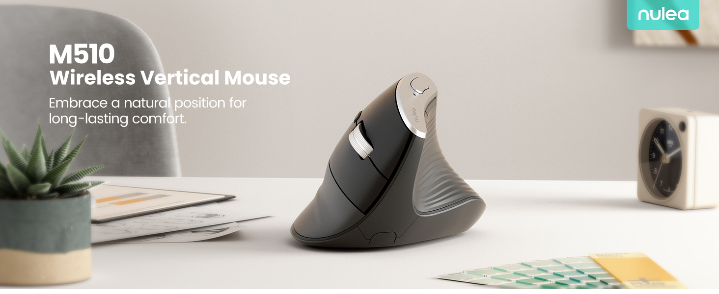 mouse