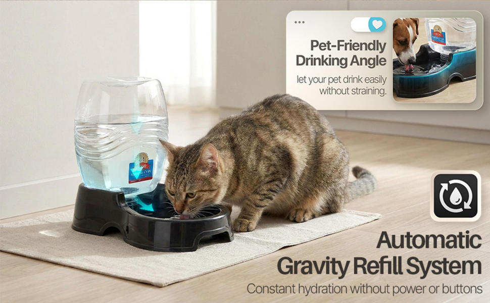 Cat drinking from a gravity water dispenser with a gravity water bowl for cats design.