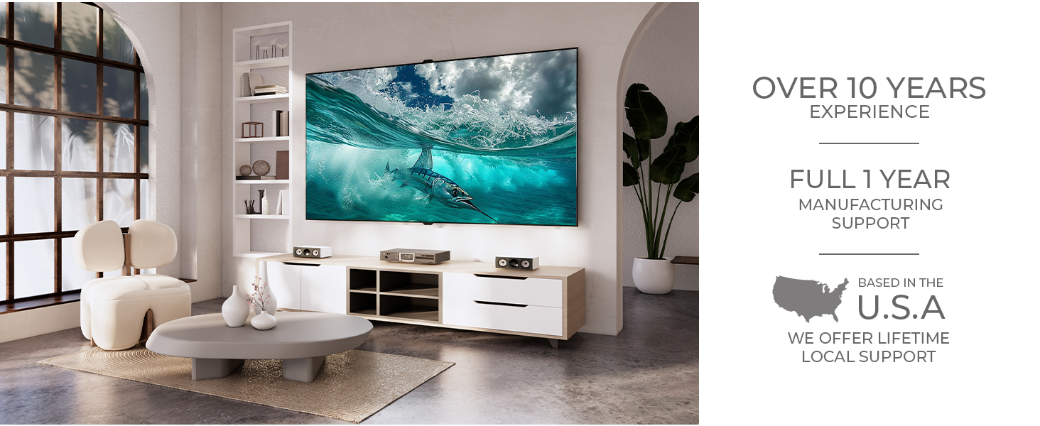 multiple hdmi port for tv