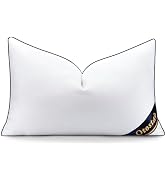 OTOSTAR 12x20 Down Alternative Fill Throw Pillow Insert-100% Cotton Cooling Cover-Soft Fluffy Syn...