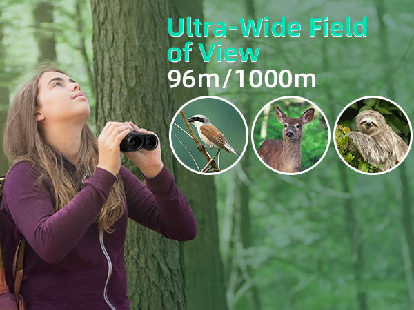 12× magnification and a wide field of view