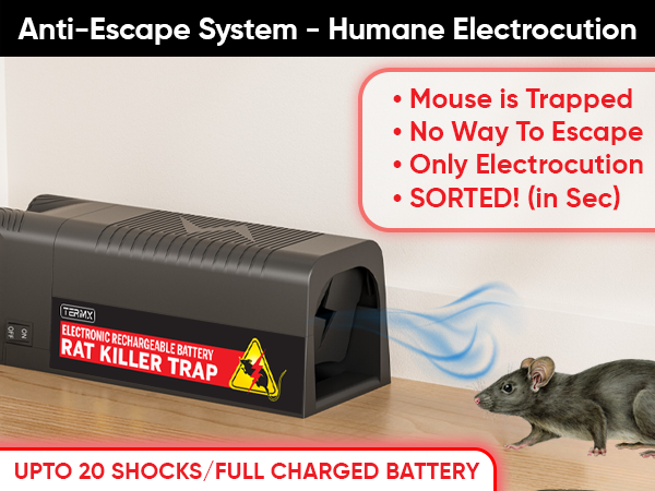 mouse traps indoor for home