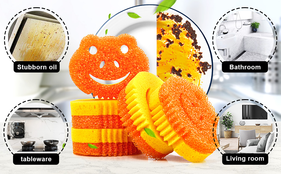 Scrub Sponge