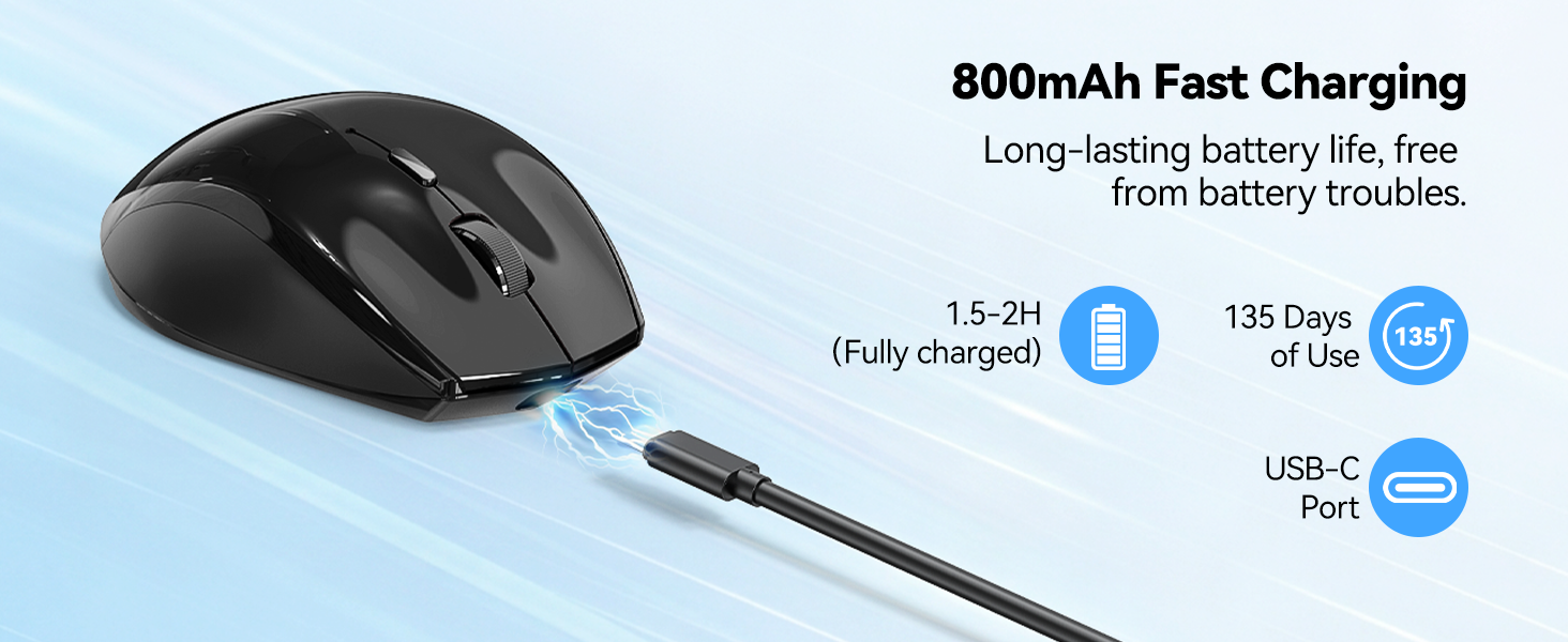 mouse