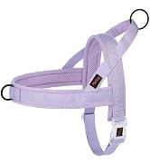 Didog No Pull Dog Harness with Breathable Mesh Padded, Quick Fit &amp; Easy on Dog Vest Harness for S...