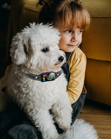 bark collar for medium dogs