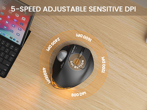 Adjustable DPI, silent click: 5 DPI levels