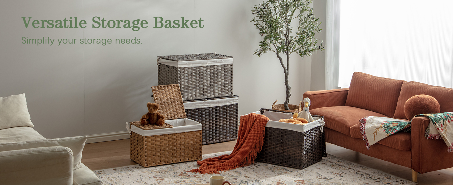 Storage Basket with Lid Woven Storage Basket with 2 Separate Lid