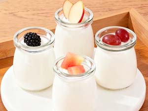 yogurt maker with temperature control