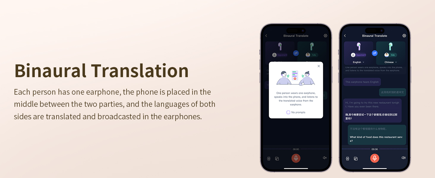 Binaural Translation