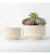 YBX YIBOXUAN Succulent Pots, 8 Inch + 6 Inch Plant Pots for Plants with Drainage Hole, Indoor Out...