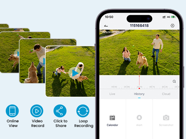 security system with cameras
