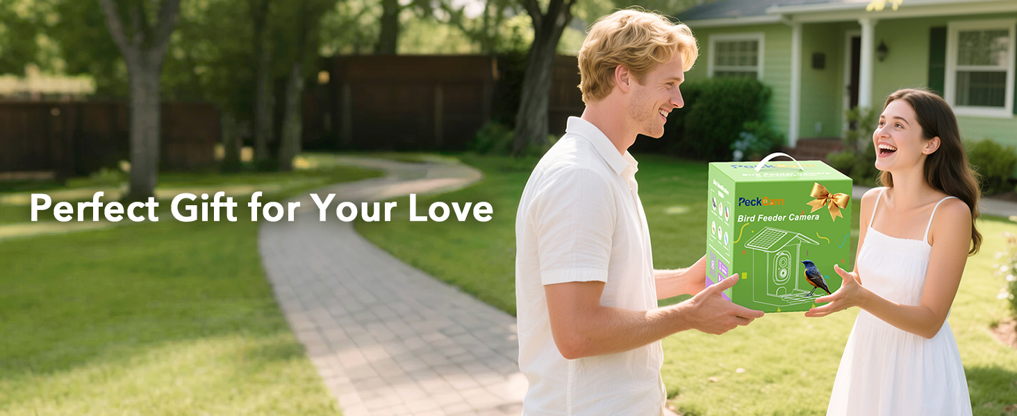 bird feeder with camera solar powered