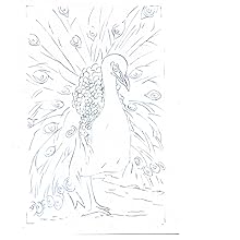 peacock 1