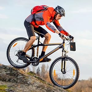 Portable Wireless Speaker