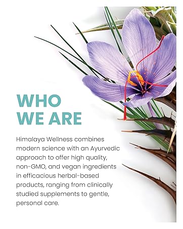 Brandstory who we are