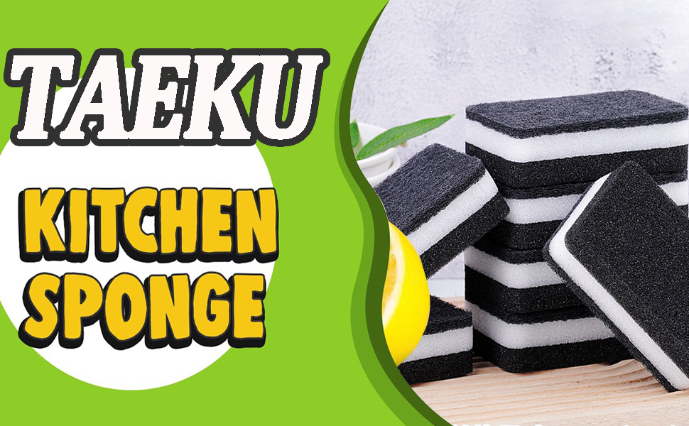 Taeku Natural Kitchen Sponge