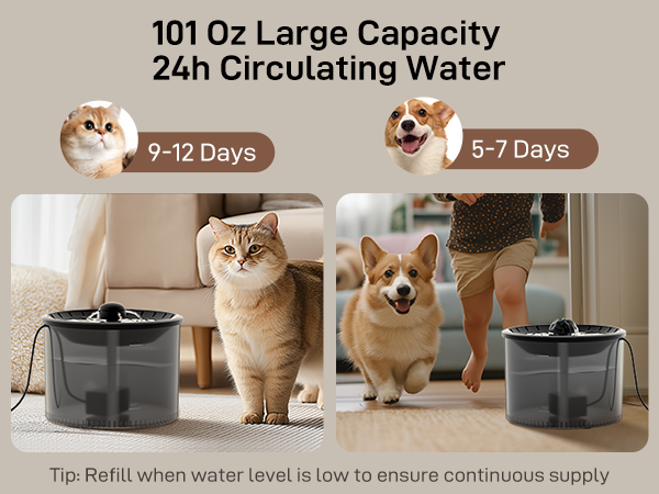 cat food and water dispenser set